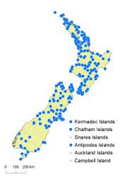 Pteridium esculentum subsp esculentum distribution map based on databased records at AK, CHR & WELT.
 Image: K. Boardman © Landcare Research 2017 CC BY 3.0 NZ